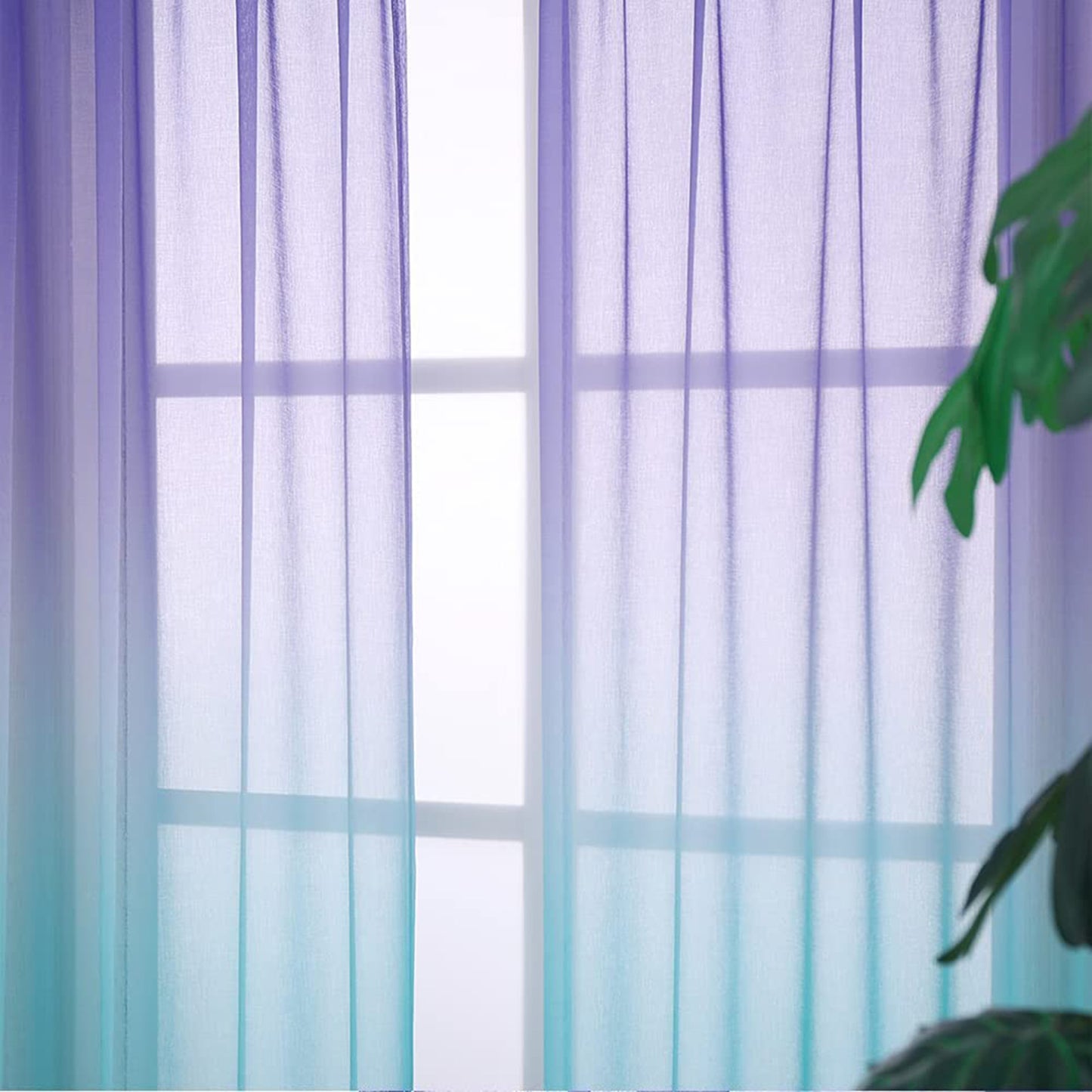 Curtain up and down gradient netting